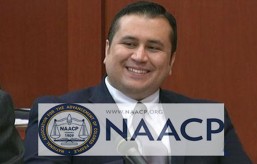 zimmermannaacp