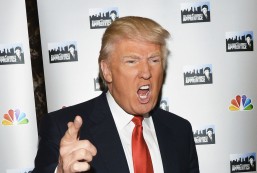 DonaldTrumpHairpieceMexico