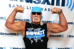 hulk-hogan-primary